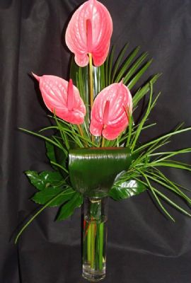 SIMPLE AND STYLISH ANTHURIUMS