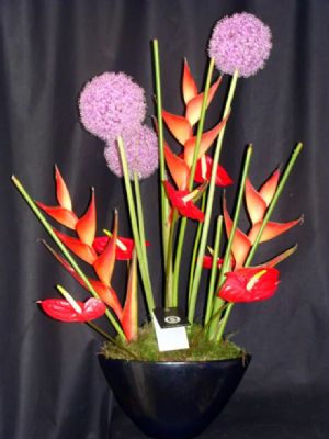 CONTEMPORARY TROPICAL ARRANGEMENT