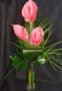 SIMPLE AND STYLISH ANTHURIUMS