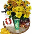 Chrysanthemum Basket                                                                                