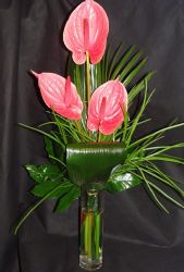POSIES