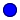 tick